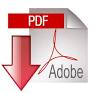 PDF File